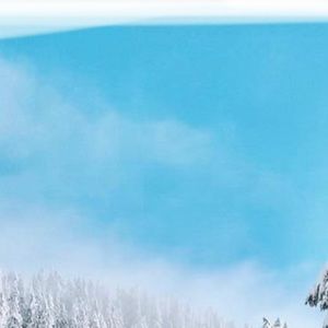 Meet your Posher, Amira